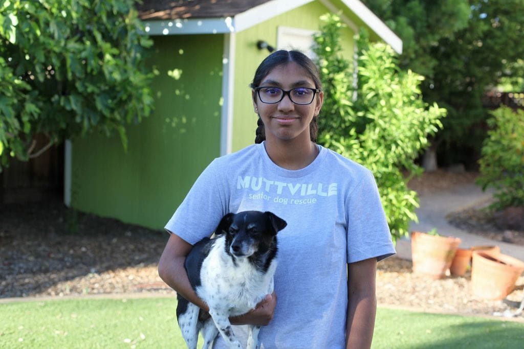 How one girl helped so many elderly dogs
