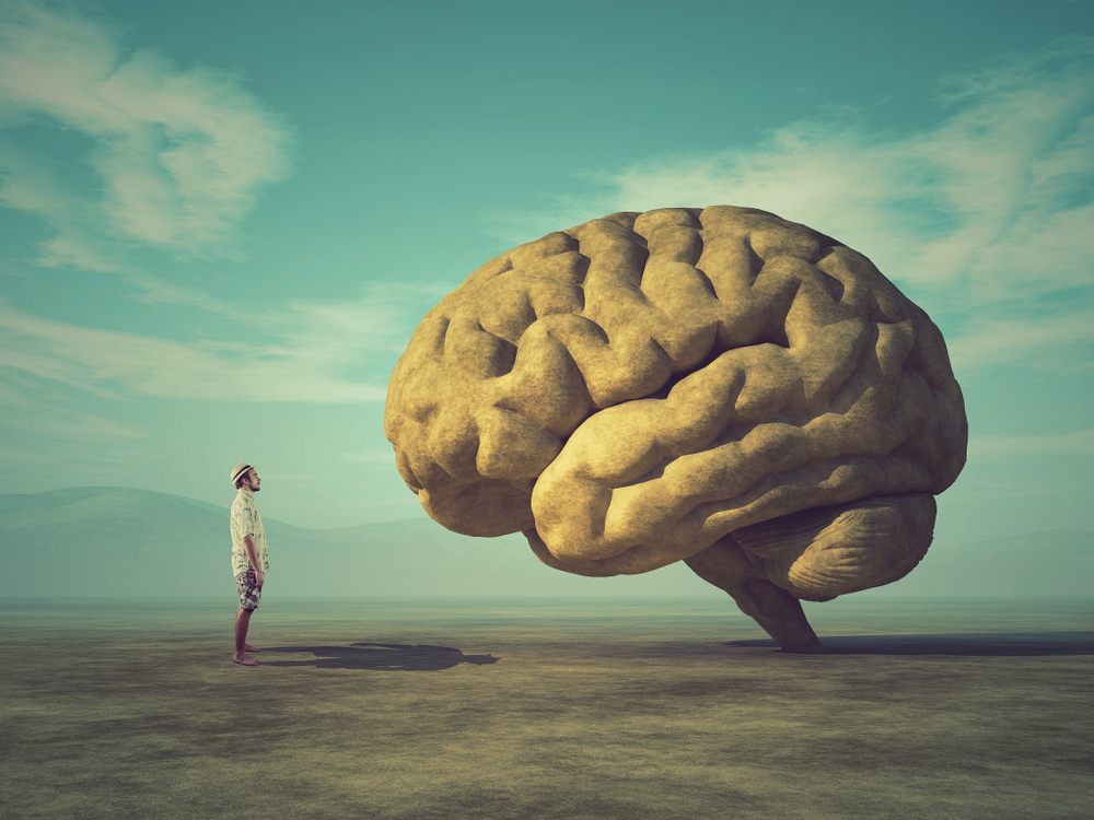 Exploring the Paradox of Human Intelligence and Unhappiness