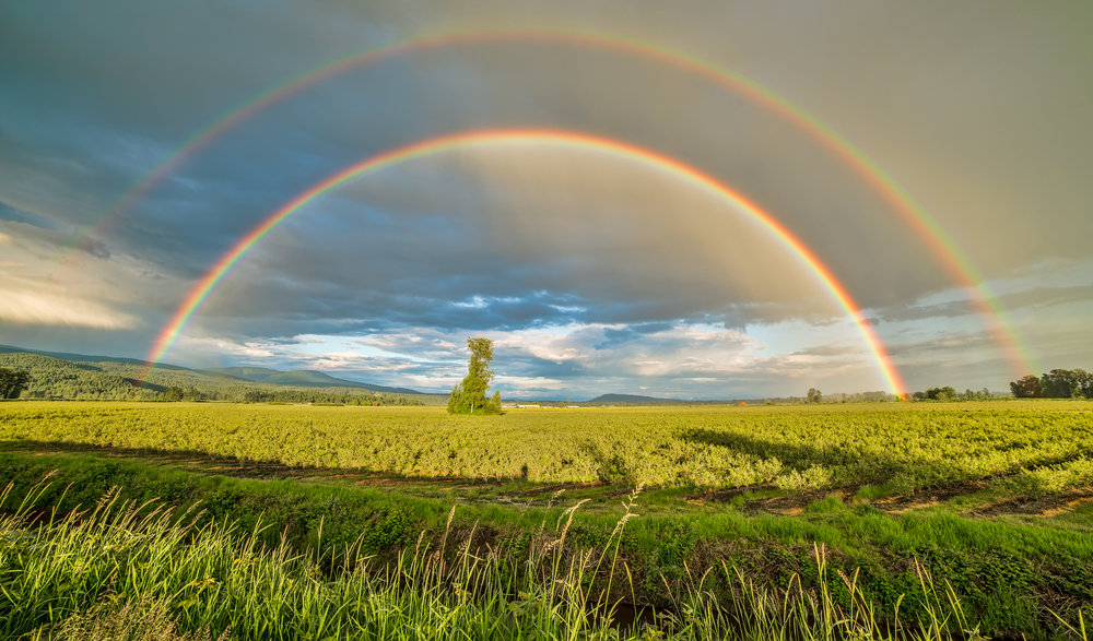 How does a double rainbow occur