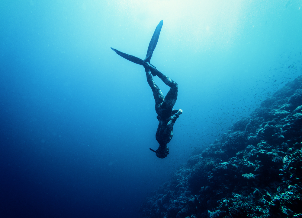 Physiological Changes that Occur in the Body to Enable Mammalian Diving Reflex