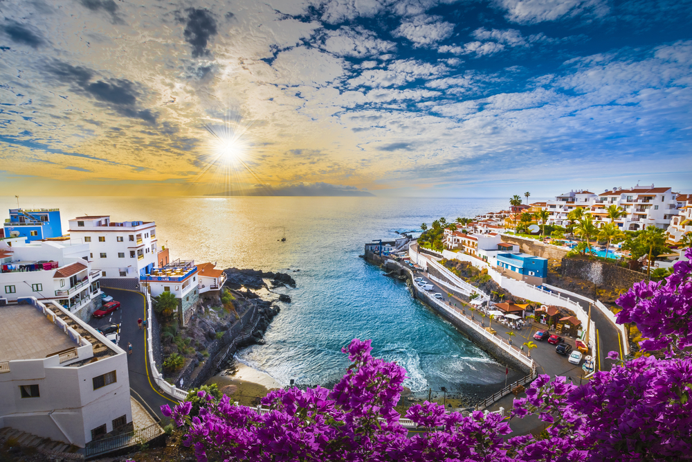How the canary islands got their name